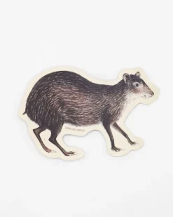 Cognitive Surplus Agouti Sticker* Stickers | Biology