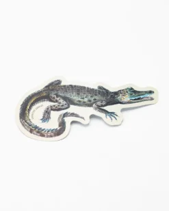 Cognitive Surplus Alligator Sticker* Stickers | Marine Biology