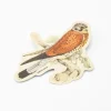 Cognitive Surplus American Kestril Sticker* Stickers | Ornithology