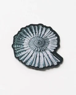 Cognitive Surplus Ammonite Fossil Magnet* Magnets | Paleontology