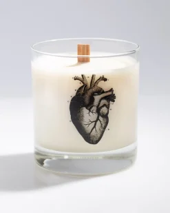 Cognitive Surplus Anatomical Heart Cocktail Candle* Candles | Medicine