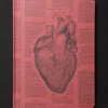 Cognitive Surplus Anatomical Heart Dark Matter Notebook* Black Paper Notebooks | The Dark Matter