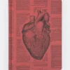 Cognitive Surplus Anatomical Heart Hardcover Notebook* The Hypothesis | Medicine