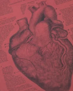 Cognitive Surplus Anatomical Heart Hardcover Notebook* The Hypothesis | Medicine