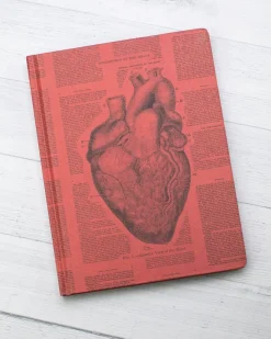 Cognitive Surplus Anatomical Heart Hardcover Notebook* The Hypothesis | Medicine