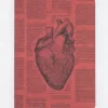Cognitive Surplus Anatomical Heart Journal - Softcover* The Experiment | Medicine