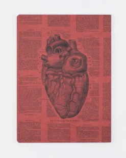 Cognitive Surplus Anatomical Heart Journal - Softcover* The Experiment | Medicine