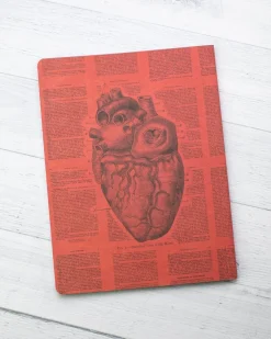 Cognitive Surplus Anatomical Heart Journal - Softcover* The Experiment | Medicine