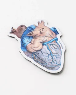 Cognitive Surplus Anatomical Heart Magnet* Magnets | Medicine