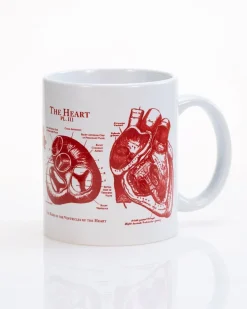Cognitive Surplus Anatomical Heart Mug | Anatomy Gift | * Mugs | Medicine