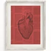 Cognitive Surplus Anatomical Heart Scientific Illustration Wall Art | * Wall Art | Medicine