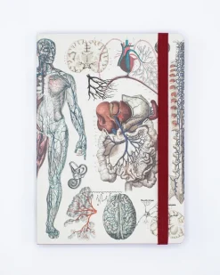 Cognitive Surplus Anatomy & Physiology A5 Notebook - Dotted Lines | * The Analysis | Medicine