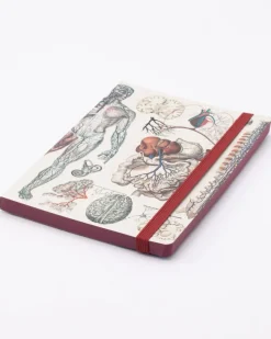 Cognitive Surplus Anatomy & Physiology A5 Notebook - Dotted Lines | * The Analysis | Medicine