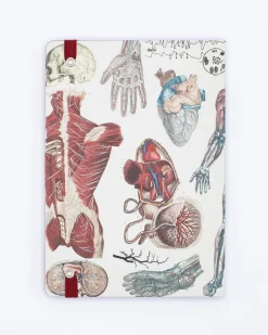 Cognitive Surplus Anatomy & Physiology A5 Notebook - Dotted Lines | * The Analysis | Medicine