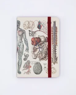 Cognitive Surplus Anatomy & Physiology Observation Softcover* The Observation | Medicine