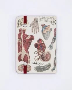Cognitive Surplus Anatomy & Physiology Observation Softcover* The Observation | Medicine