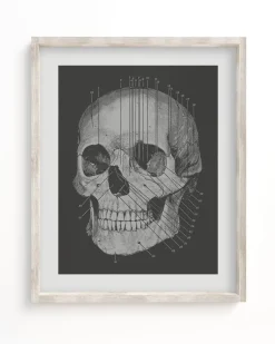 Cognitive Surplus Anatomy Medical Illustration Art Print | * Wall Art | Medicine