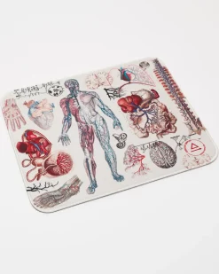 Cognitive Surplus Anatomy Mouse Pad* Mouse Pads | Medicine