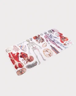 Cognitive Surplus Anatomy Mouse Pad* Mouse Pads | Medicine