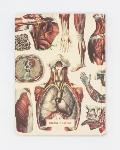 Cognitive Surplus Anatomy: Muscles Heart Hardcover Notebook | * The Hypothesis | Medicine
