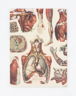 Cognitive Surplus Anatomy Muscles Softcover Notebook - Lined | * The Experiment | Medicine