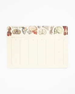 Cognitive Surplus Anatomy Notepads - Vintage Medicine Pad | * Notepads | Medicine