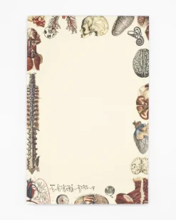 Cognitive Surplus Anatomy Notepads - Vintage Medicine Pad | * Notepads | Medicine