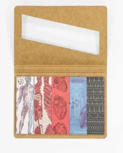 Cognitive Surplus Anatomy Page Flags* Page Flags | Medicine