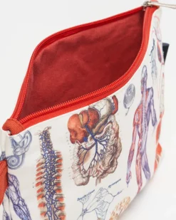 Cognitive Surplus Anatomy Pencil Bag* Pencil Bags | Medicine