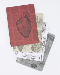Cognitive Surplus Anatomy Pocket Notebooks Set of 4* The Research | Medicine