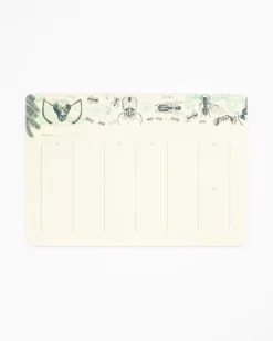 Cognitive Surplus Ant Notepads - Entomology Market Pad | * Notepads | Entomology