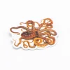 Cognitive Surplus Atlantic White-Spotted Octopus Sticker* Stickers | Marine Biology