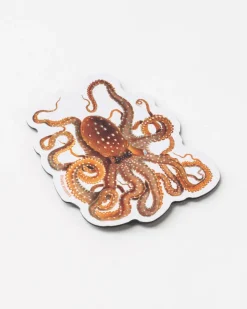 Cognitive Surplus Atlantic White-Spotted Octopus Magnet* Magnets | Marine Biology