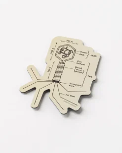 Cognitive Surplus Bacteriophage Magnet* Magnets | Microbiology