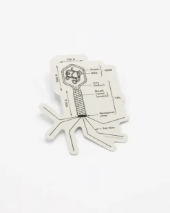 Cognitive Surplus Bacteriophage Sticker* Stickers | Microbiology