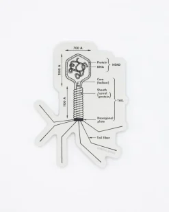 Cognitive Surplus Bacteriophage Sticker* Stickers | Microbiology