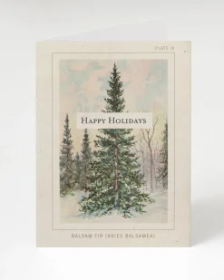 Cognitive Surplus Balsam Fir Happy Holidays Card - Christmas Card | * Greeting Cards | Botany
