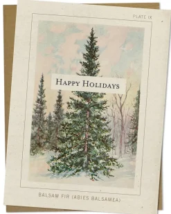 Cognitive Surplus Balsam Fir Happy Holidays Card - Christmas Card | * Greeting Cards | Botany