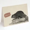 Cognitive Surplus Beaver Dam Card - Apology Card | * Greeting Cards | Biology