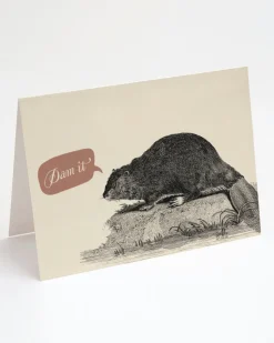 Cognitive Surplus Beaver Dam Card - Apology Card | * Greeting Cards | Biology