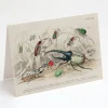 Cognitive Surplus Beetle Greeting Card - Entomology Science Stationery | * Greeting Cards | Entomology