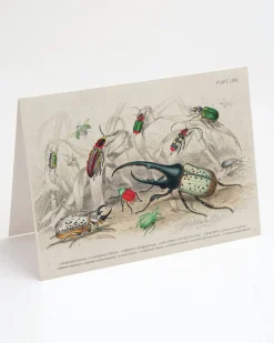 Cognitive Surplus Beetle Greeting Card - Entomology Science Stationery | * Greeting Cards | Entomology