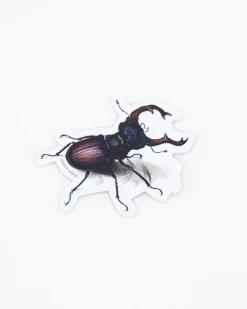 Cognitive Surplus Beetle Sticker* Stickers | Entomology