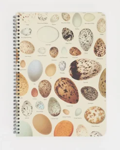 Cognitive Surplus Bird Eggs Spiral Notebook | * The Helix | Veterinary Science