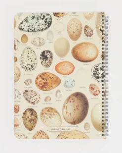 Cognitive Surplus Bird Eggs Spiral Notebook | * The Helix | Veterinary Science