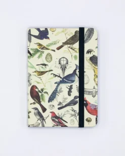Cognitive Surplus Birds & Feathers Observation Softcover* The Observation | Ornithology
