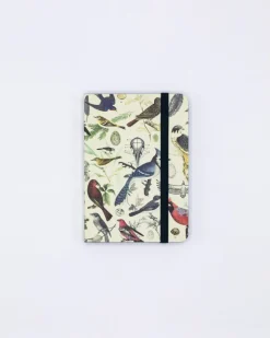 Cognitive Surplus Birds & Feathers Observation Softcover* The Observation | Ornithology