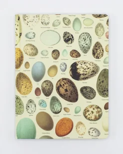 Cognitive Surplus Birds Hardcover Notebook | Ecology* The Hypothesis | Veterinary Science