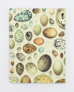 Cognitive Surplus Birds Hardcover Notebook | Ecology* The Hypothesis | Veterinary Science