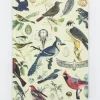 Cognitive Surplus Birds of Prey Notebook - Hardcover | Ecology* The Hypothesis | Ornithology
